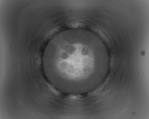 X0000101440569200807141309