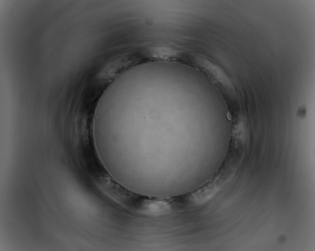 X0000101440572200807141309