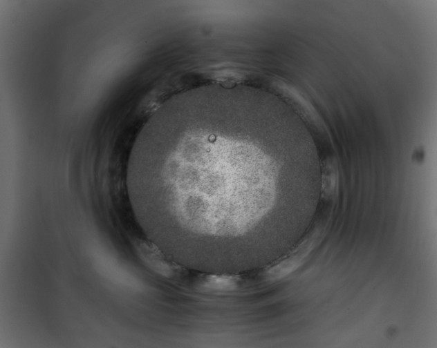 X0000101440573200807141309