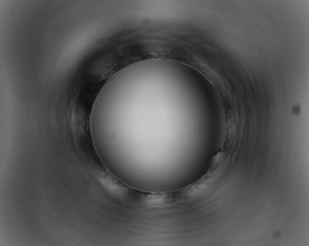 X0000101440574200807141309