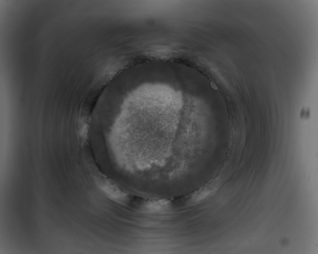 X0000101440576200807141309