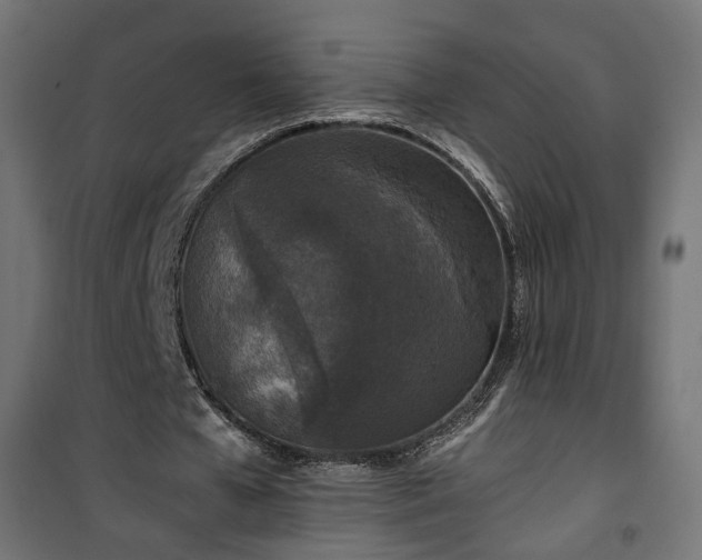 X0000101440577200807141308