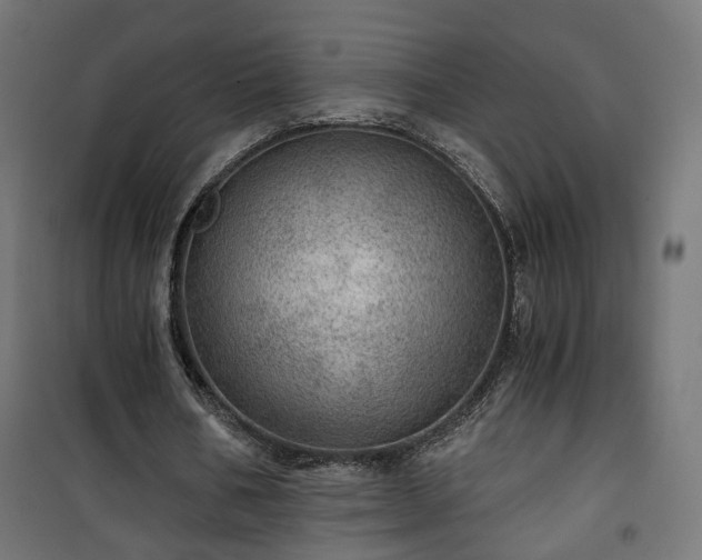 X0000101440578200807141308