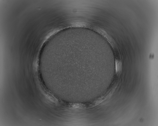 X0000101440579200807141308