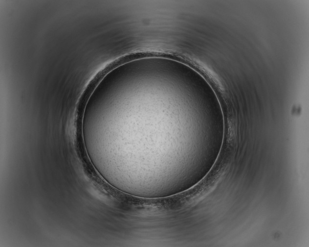 X0000101440580200807141308