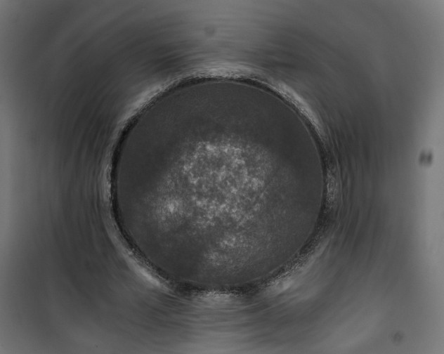 X0000101440581200807141308