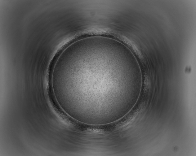 X0000101440582200807141308