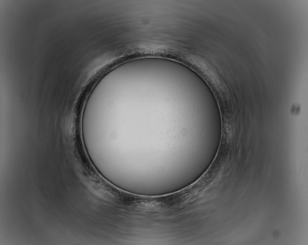 X0000101440583200807141308