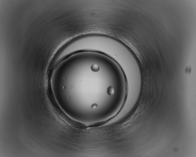 X0000101440584200807141308