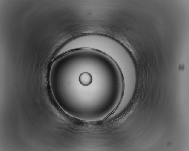 X0000101440585200807141308