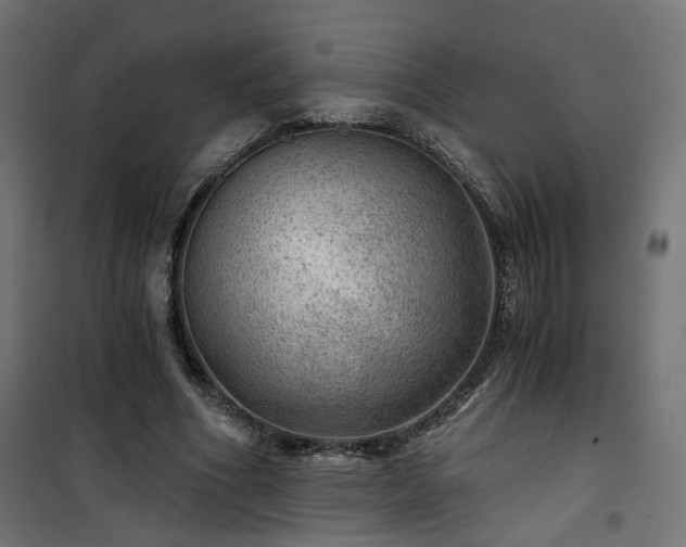 X0000101440586200807141308