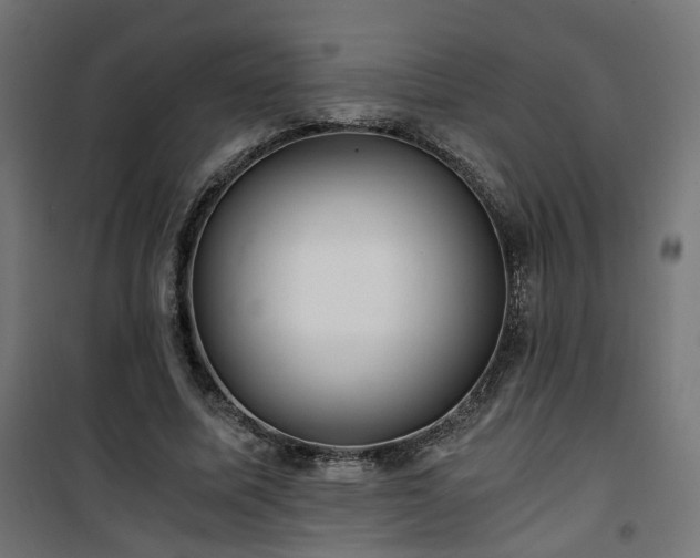 X0000101440587200807141308