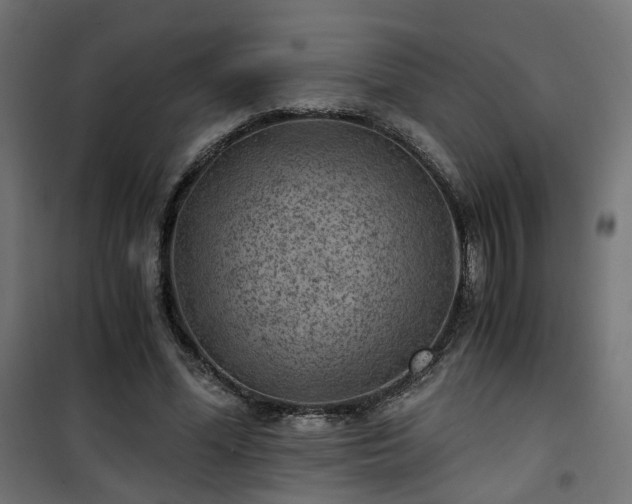 X0000101440588200807141308