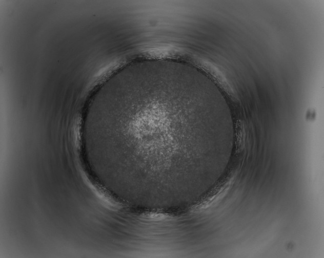 X0000101440590200807141308