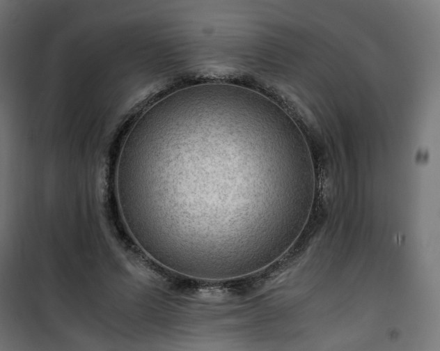 X0000101440591200807141308