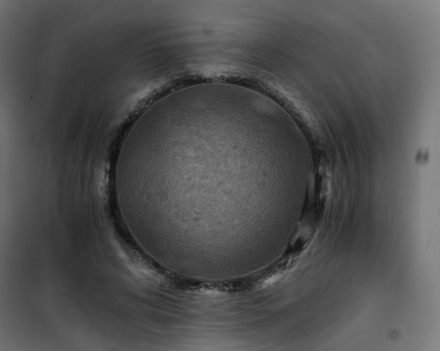 X0000101440592200807141308