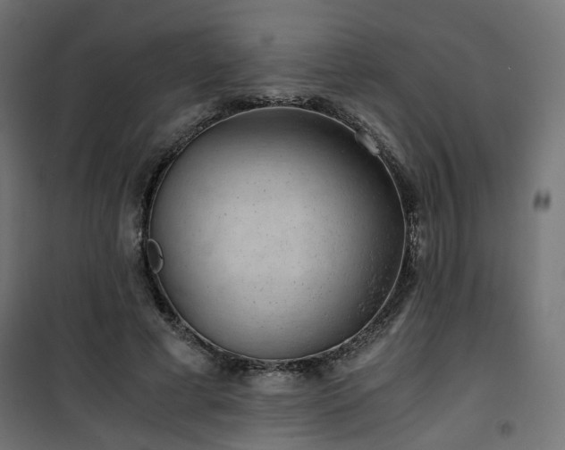 X0000101440593200807141308