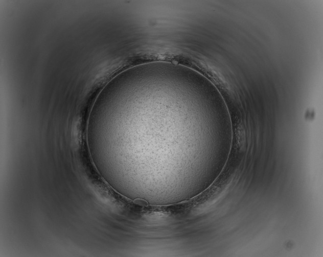 X0000101440594200807141308