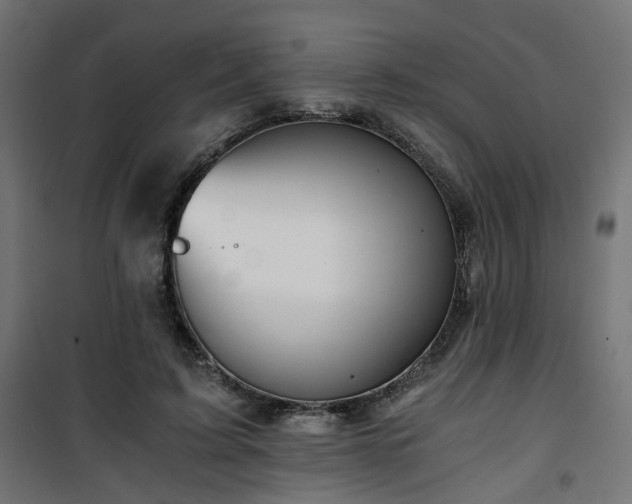 X0000101440595200807141308