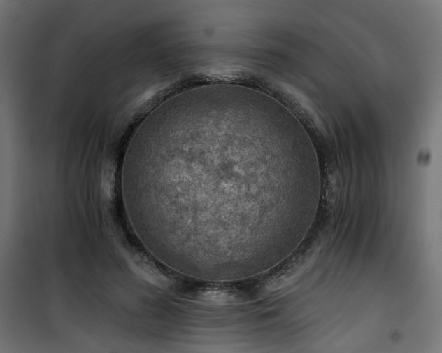 X0000101440596200807141308