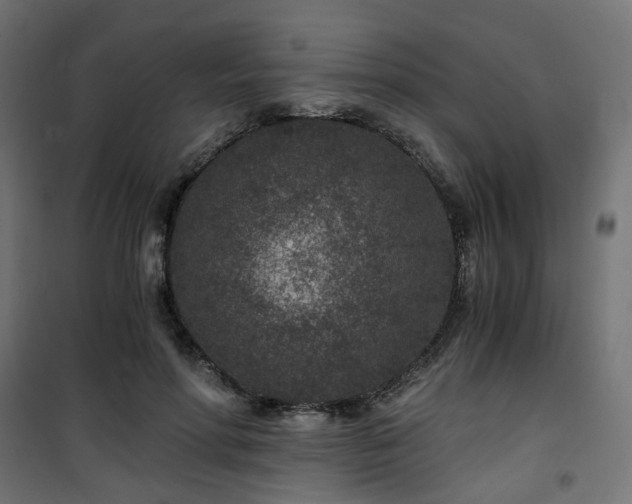 X0000101440598200807141308