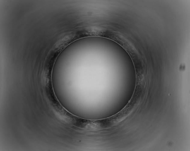 X0000101440599200807141308