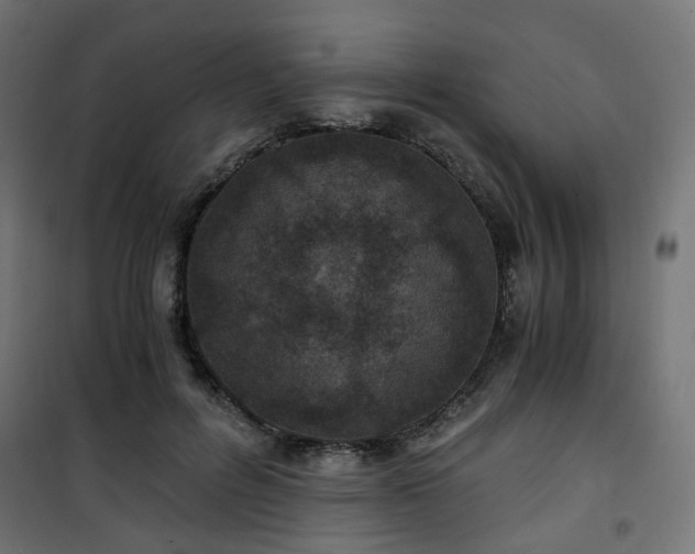 X0000101440600200807141308