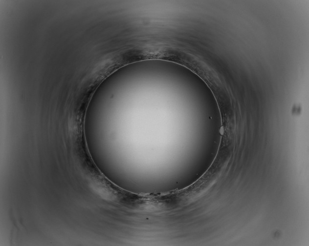 X0000101440601200807141308