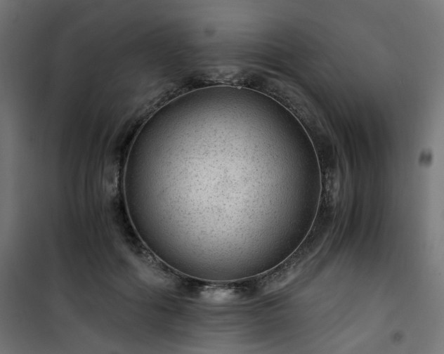 X0000101440602200807141308