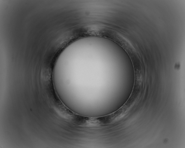 X0000101440603200807141308