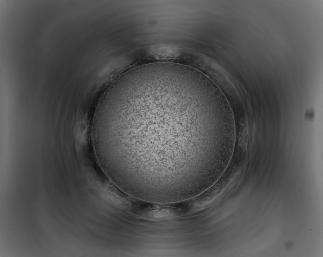 X0000101440604200807141308