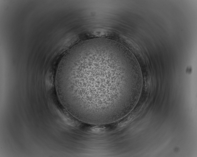 X0000101440606200807141308