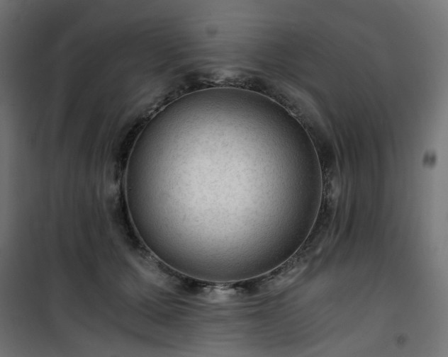 X0000101440607200807141308