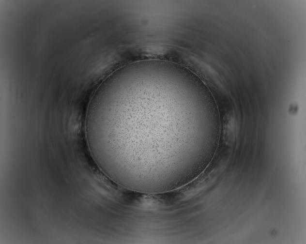 X0000101440608200807141308