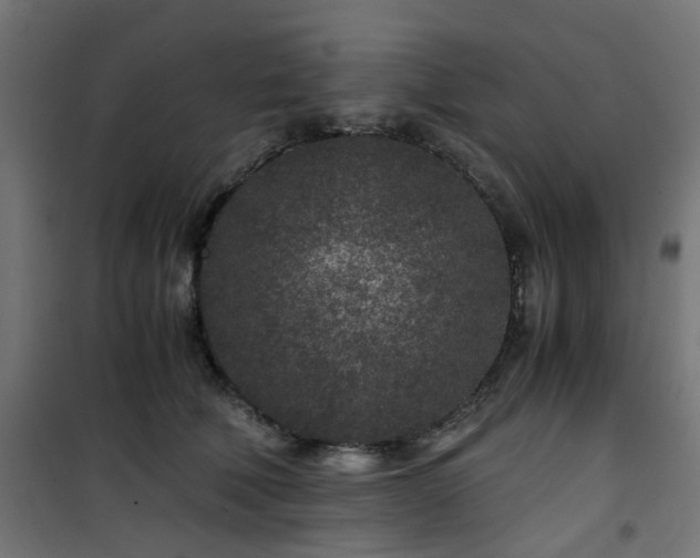 X0000101440610200807141308