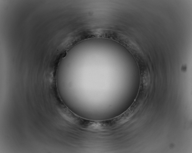 X0000101440611200807141308