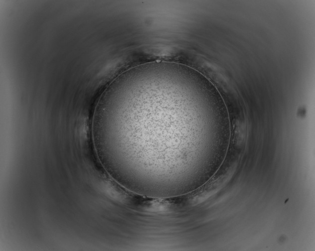 X0000101440612200807141308