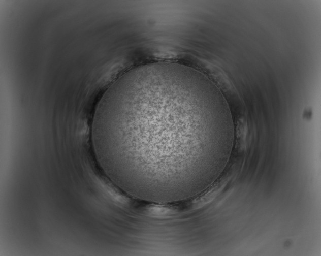 X0000101440614200807141308