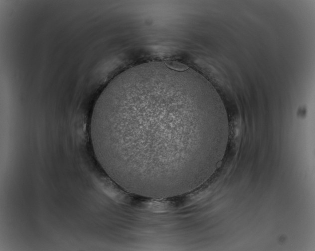 X0000101440615200807141308