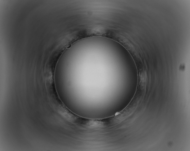 X0000101440617200807141307