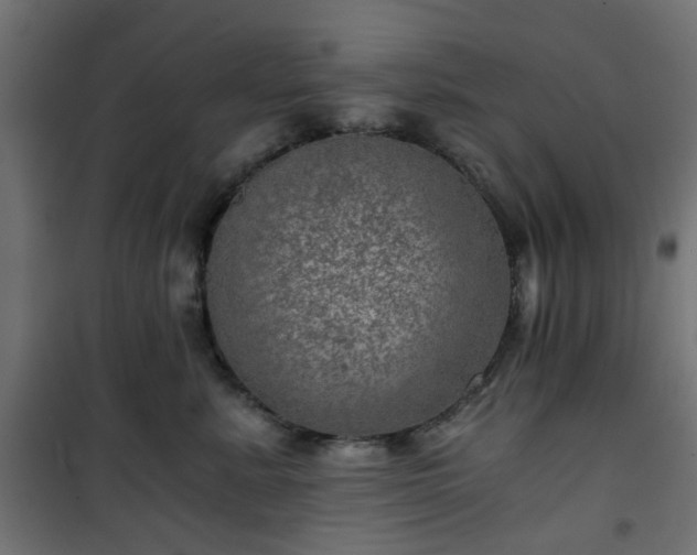 X0000101440619200807141307