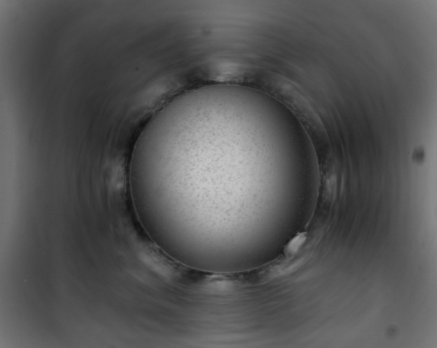 X0000101440620200807141307