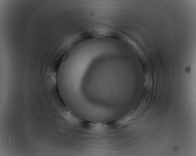 X0000101440621200807141307