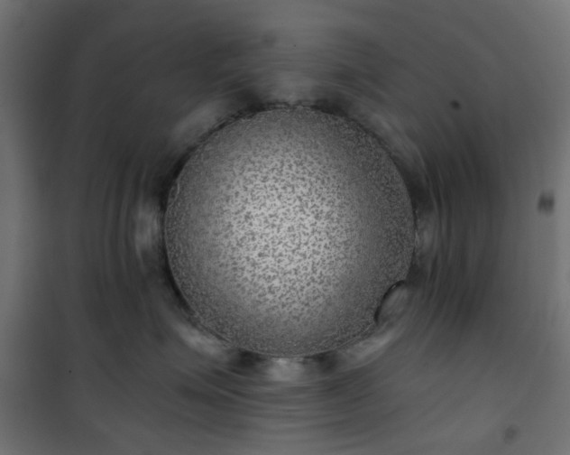 X0000101440623200807141307