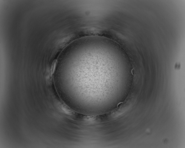 X0000101440624200807141307