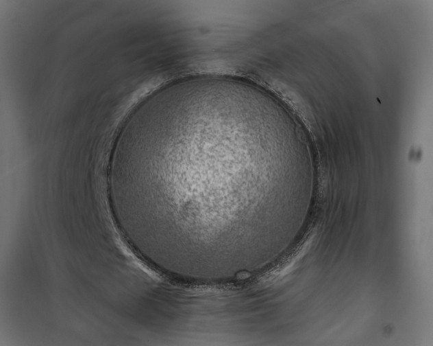 X0000101440625200807141307