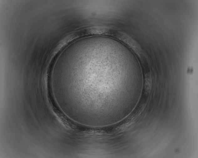 X0000101440626200807141307