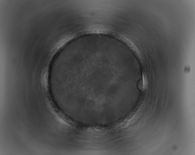 X0000101440627200807141307