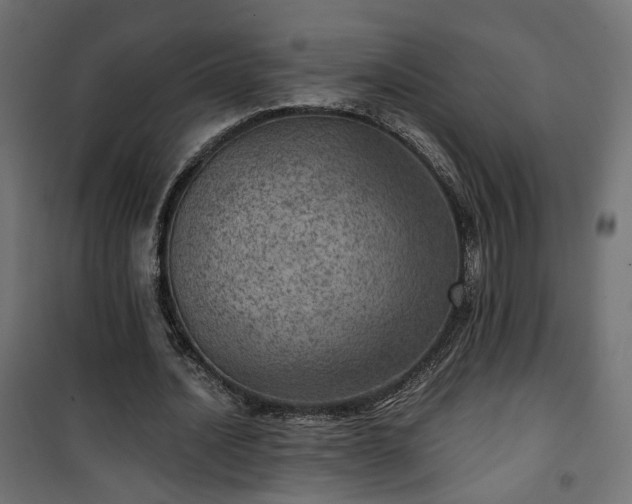 X0000101440628200807141307