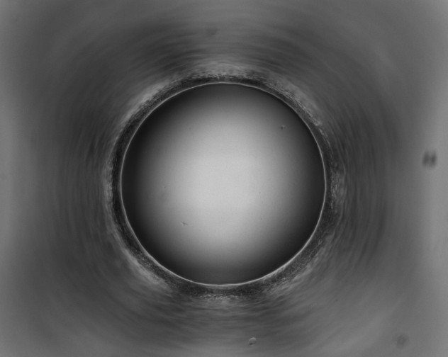 X0000101440629200807141307